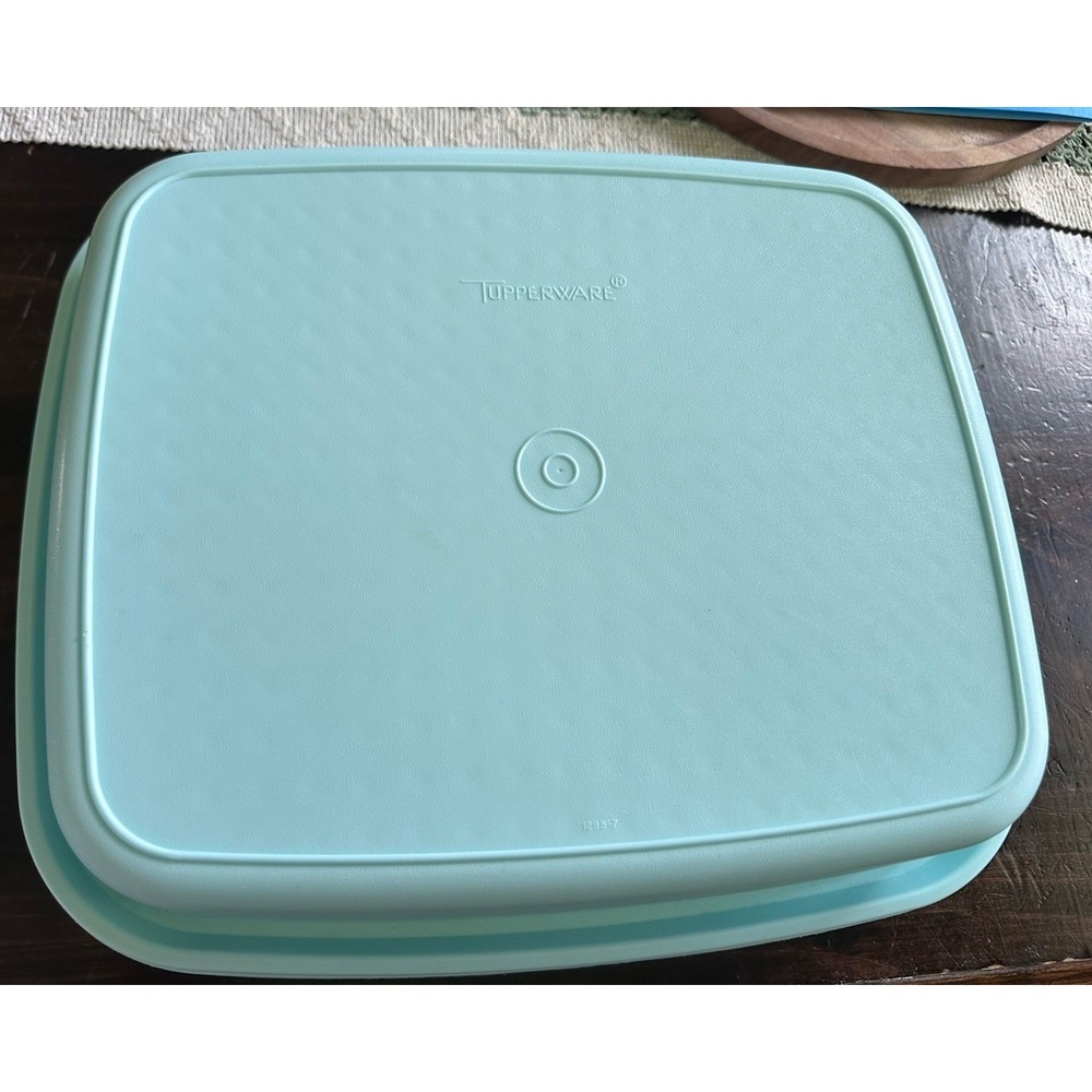 Vintage Tupperware Meat Marinade Container Season N Serve Aqua Mint # 1295‎ 1294